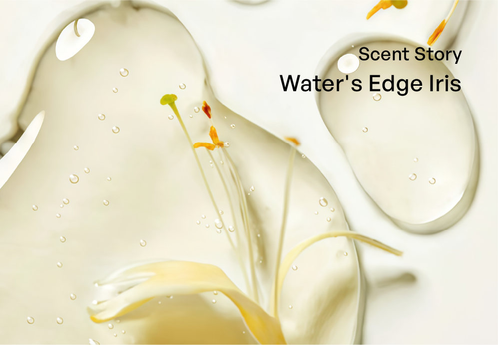 Crystal-clear hair dye gel with botanical stems, highlighting a luxury perfume-like fragrance and odorless formula for a pleasant sensory experience.